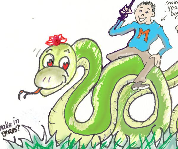 SNAKE/SERPENT - 巳）